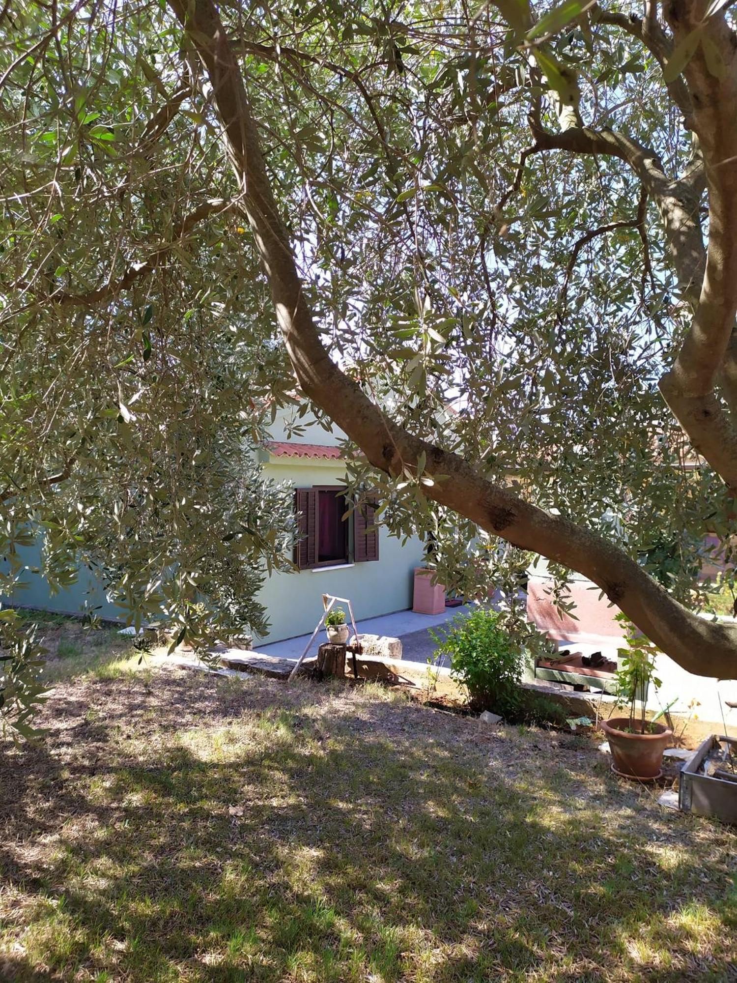 Apartmani Tara Медулин Екстер'єр фото